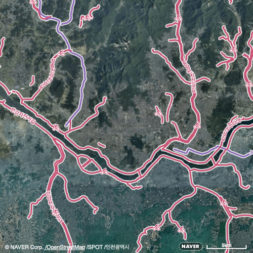 위성 지도 배경에 자전거 도로 요청